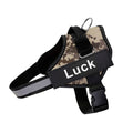Luck™ - Coleira Peitoral personalizada para Cachorros